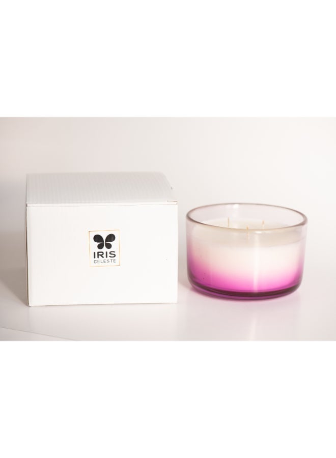 IRIS CELESTE شمعة لافندر ليلي في جرة 425 جرام - شمعة معطرة 3 فتائل 15 أونصة | 50 ساعة وقت احتراق | مثالية للهدايا، ديكور المنزل، الحفلات وعطر الغرف | مثالية لديكور غرفة المعيشة والمكتب - Image 3